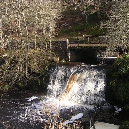 Joined-Up Holidays Bed & Breakfast Hamsterley  Exterior photo
